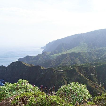 Viviendas Vacacionales Jardin La Punta Hermigua Eksteriør bilde